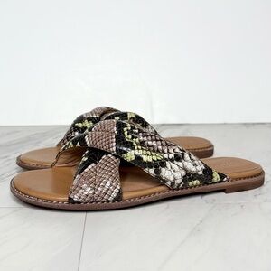 New! Madewell The Skylar Slide Snake Embossed Sandal 6 1/2